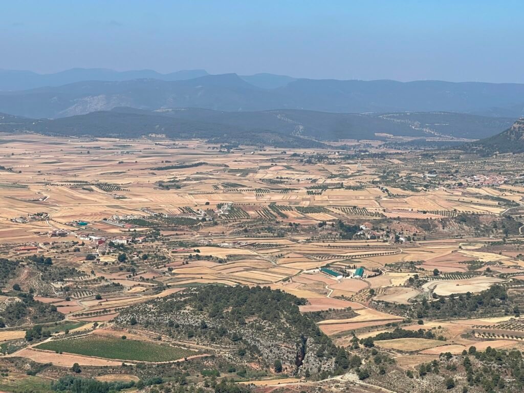 alpuente campo de abajo